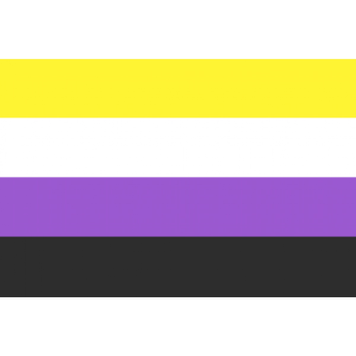 Non Binary Gay Pride 3x2 World Flag Shop 